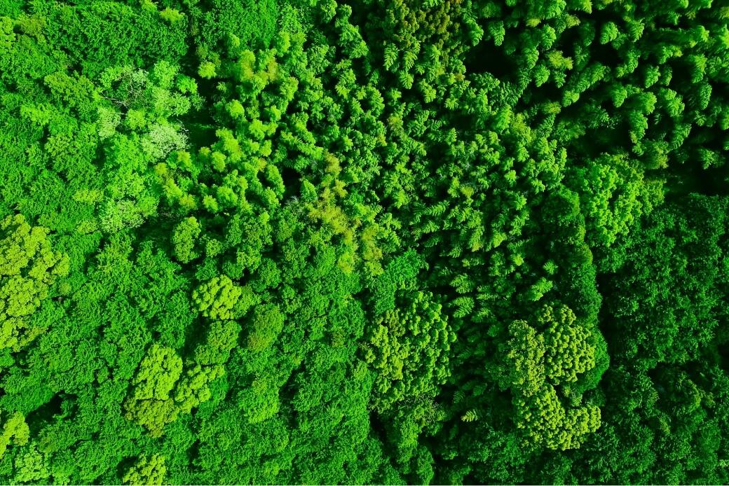 サスティナビリティ