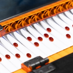 ソフトカプセル成型